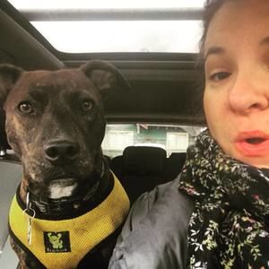 Meet your Posher, Kira